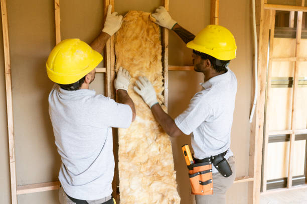 Best Basement Insulation  in University Gardens, NY